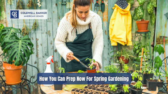 It's about time to show off your green thumb and wow the neighborhood with your gardening. Here's how you can get started early.
